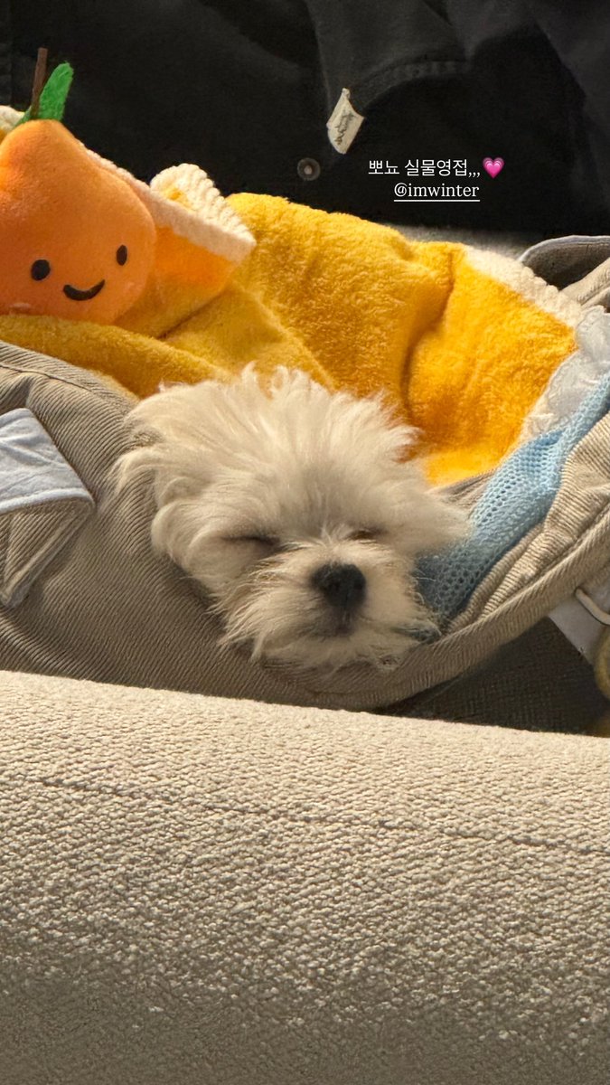 wt010101's tweet photo. 댄서언니들 고맙습니다🙇🏻‍♀️ https://t.co/IZ8gRGrc2i