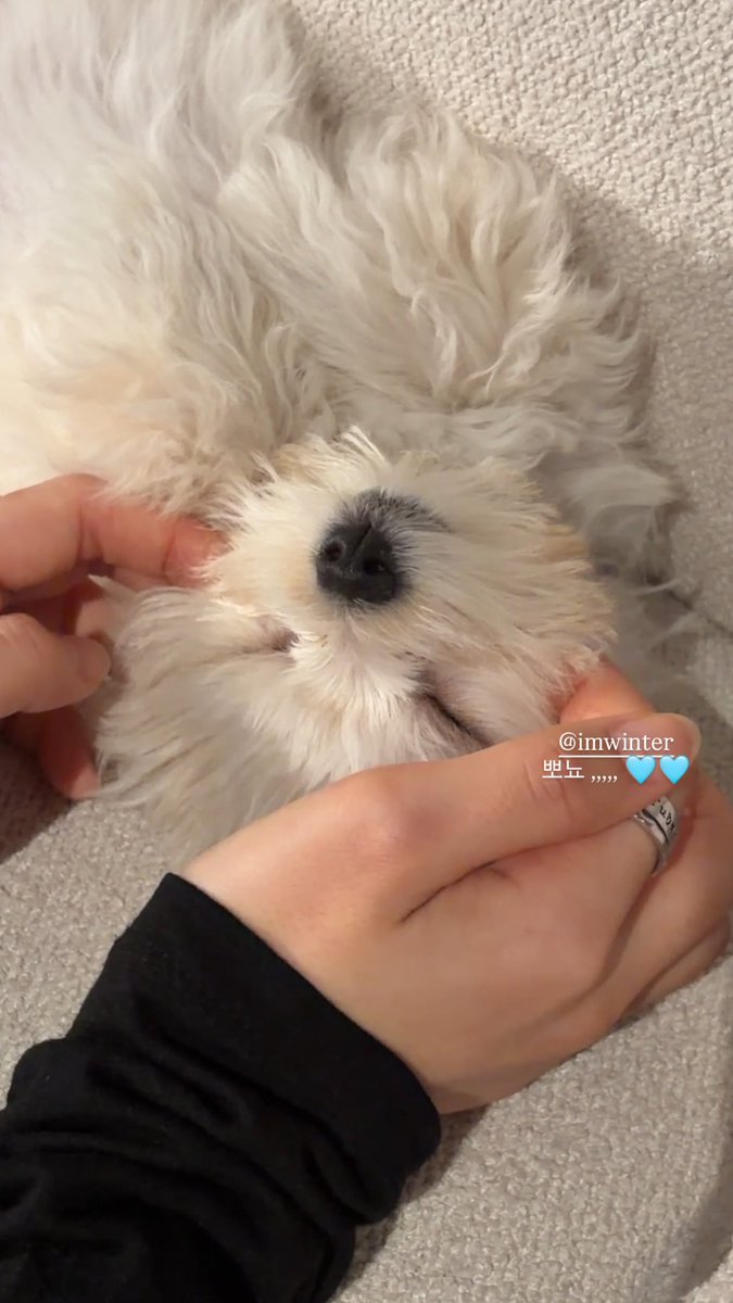 wt010101's tweet photo. 댄서언니들 고맙습니다🙇🏻‍♀️ https://t.co/IZ8gRGrc2i