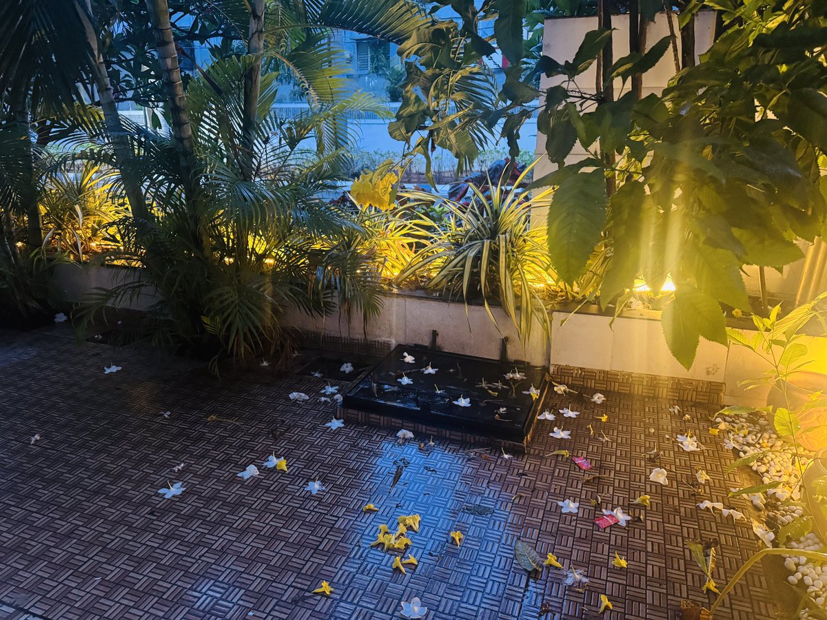 ZindgiGuIzarHai's tweet photo. Nature as its best .. raining since 3 days continuously 😍
#justclicked https://t.co/23ADOchxvi