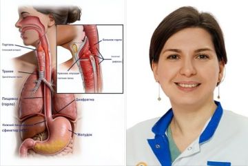 GastroScan tweet media