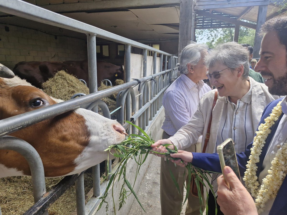 BoardofDeputies's tweet photo. Yesterday, the Board of Deputies visited both the Bhaktivedanta Manor @ISKCON_Manor and the Oshwal Centre @Oshwal_UK , prestigious centres of the Dharmic faiths. 

The Board was honoured to have met with senior Hindu and Jain leaders, and Lord Lieutenant of Hertfordshire, Robert Voss @hertslieutenant. An incredible opportunity to discuss shared challenges, and deepen understanding of our respective communities.