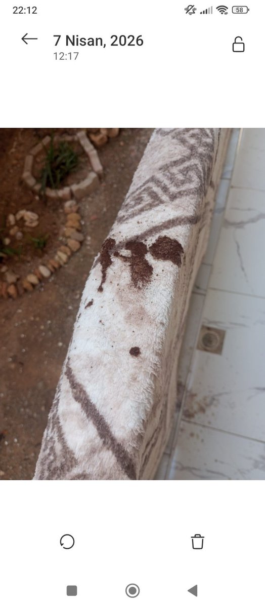 bilgekdn's tweet photo. Fotoğraf ta gördügünüz kişiler ortaklaşa hareket ederek tam bir hafta boyunca yeni ev sahiplerine aralıksız bu şekilde ahlaksızlıklarına yapmaya  devam ettiler  ev sahipleri bu yapılan ahlaksızlıklara dayanamayıp evden çıktılar https://t.co/PxN5GDDmrA