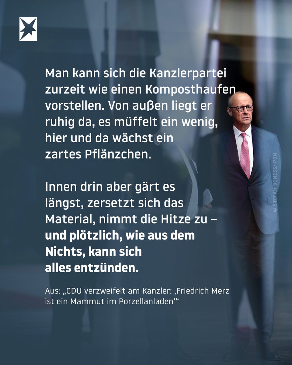stern tweet media