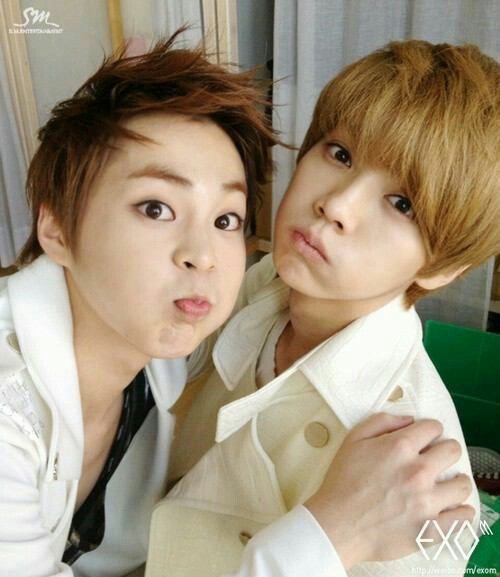 justfeelit1001's tweet photo. 루민 https://t.co/pWb3GU32qS