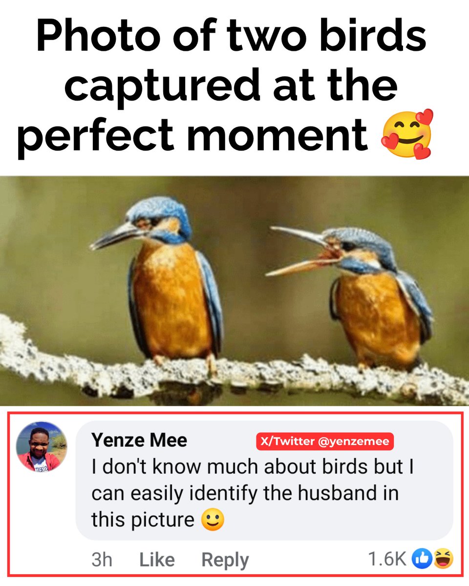 yenzemee's tweet photo. Yes I can tell https://t.co/47UiKle5iF