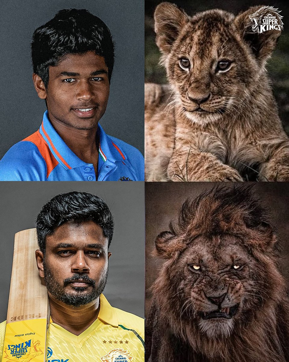 ChennaiIPL's tweet photo. Roaring since day one 🦁

#WhistlePodu https://t.co/NARxbbejXp