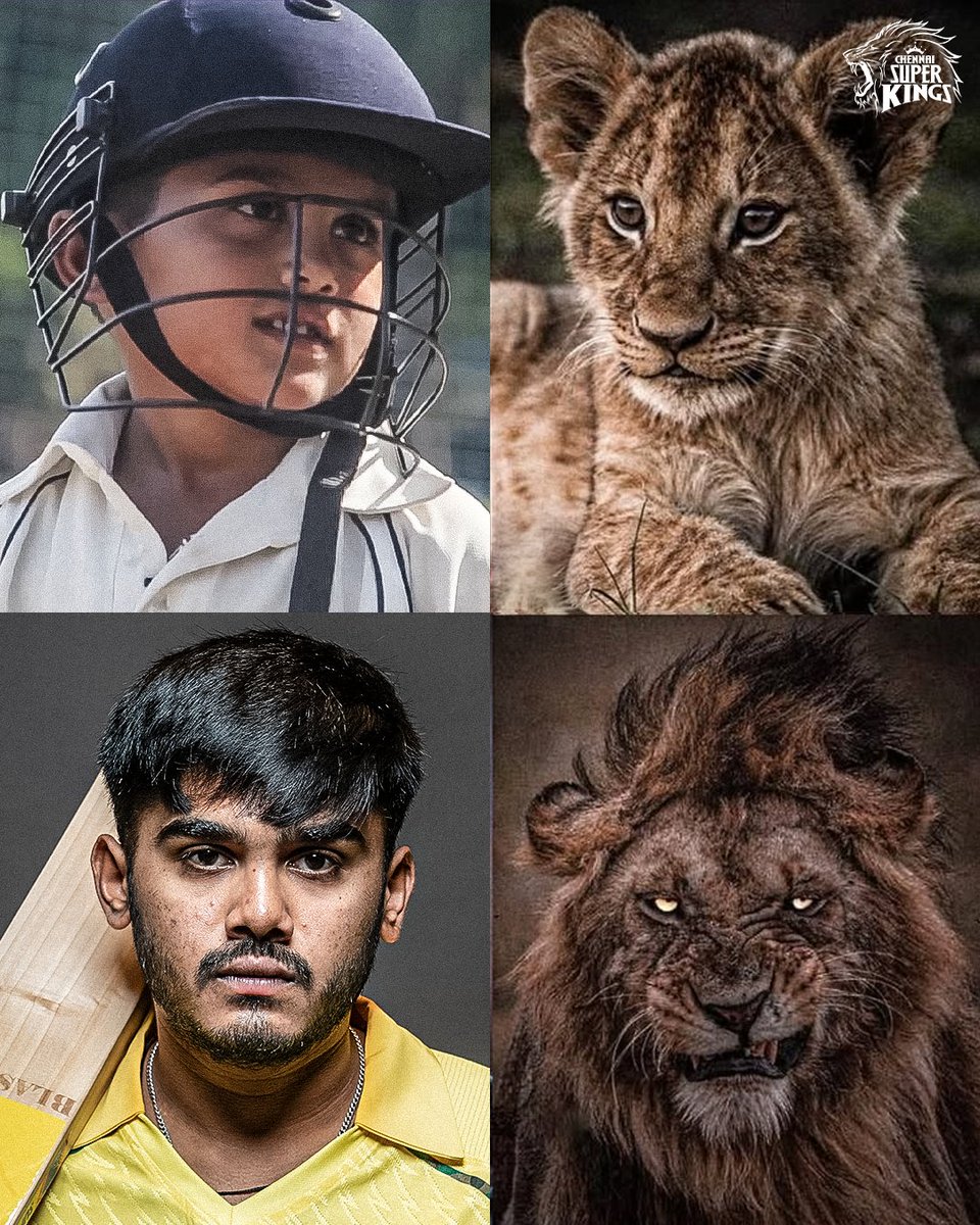 ChennaiIPL's tweet photo. Roaring since day one 🦁

#WhistlePodu https://t.co/NARxbbejXp
