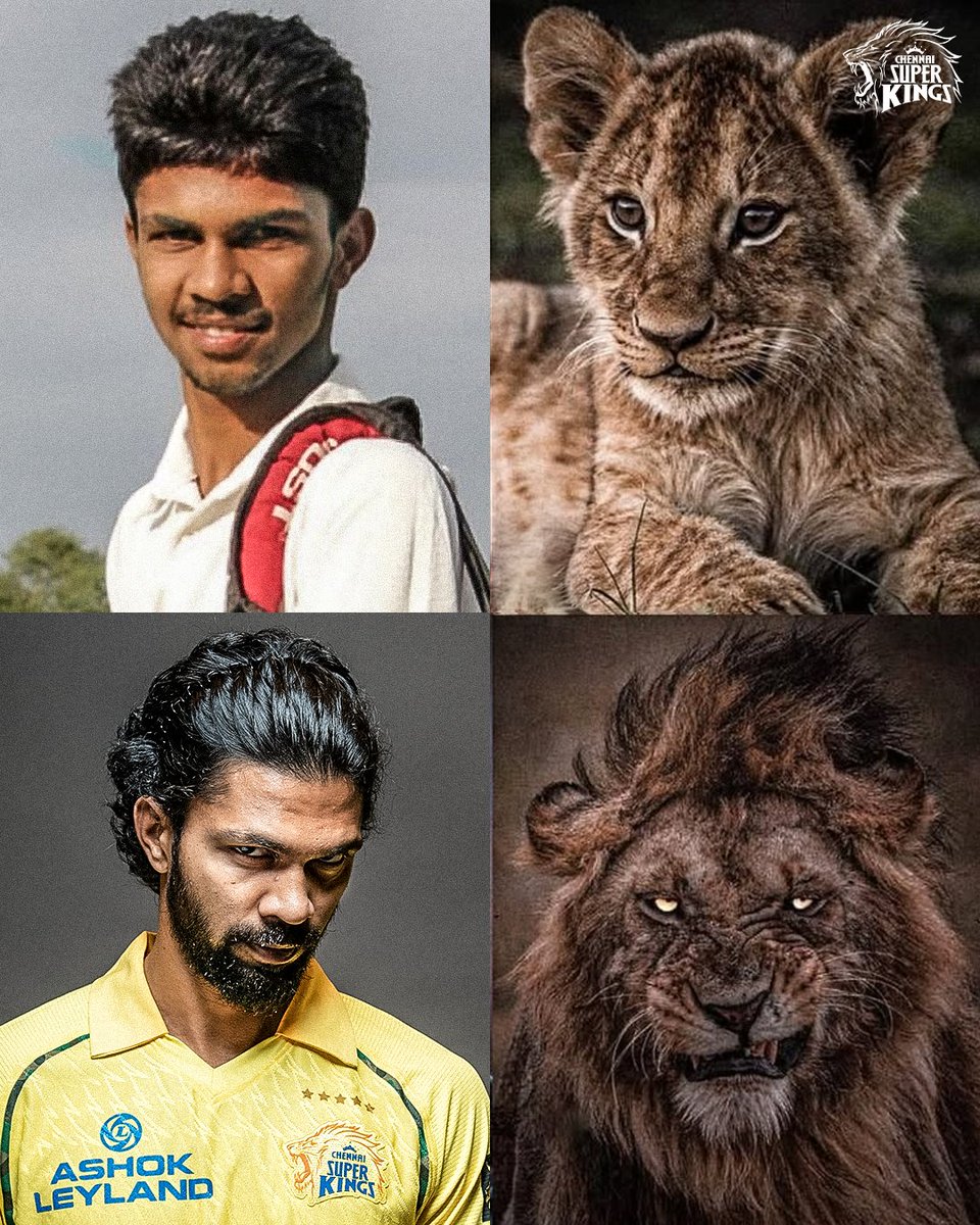 ChennaiIPL's tweet photo. Roaring since day one 🦁

#WhistlePodu https://t.co/NARxbbejXp