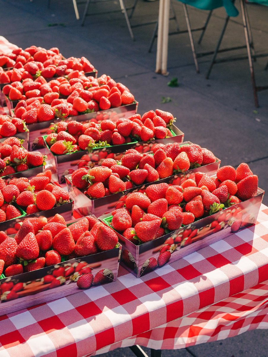 QueenieMcmw9dj's tweet photo. Fresh organic cherry tomatoes u0026 basil just arrived! Perfect for summer salads or pasta toppings. Grab yours before they sell out! https://t.co/s1c42OGwJP