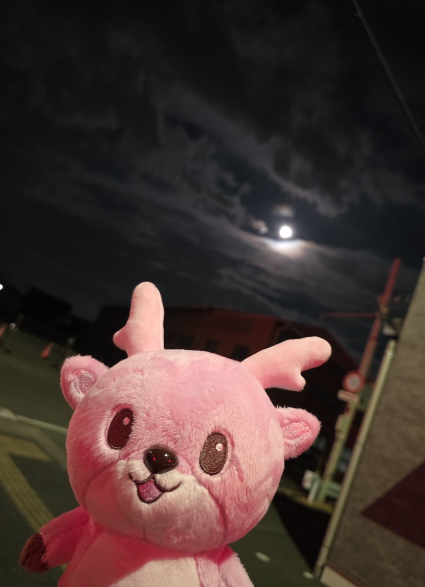 BlueTeddylovely's tweet photo. 月がきれいですね🌕✨

７月の満月は
バックムーンというらしいですね
イワシカちゃんと満月を見ました😊 https://t.co/EbK1vRc6P0