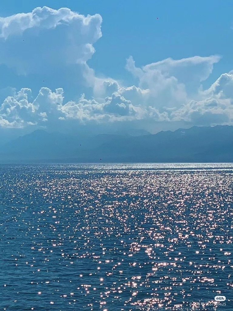 cozyycabin's tweet photo. sunlight on water will always heal something in me https://t.co/5cHjwINuFZ