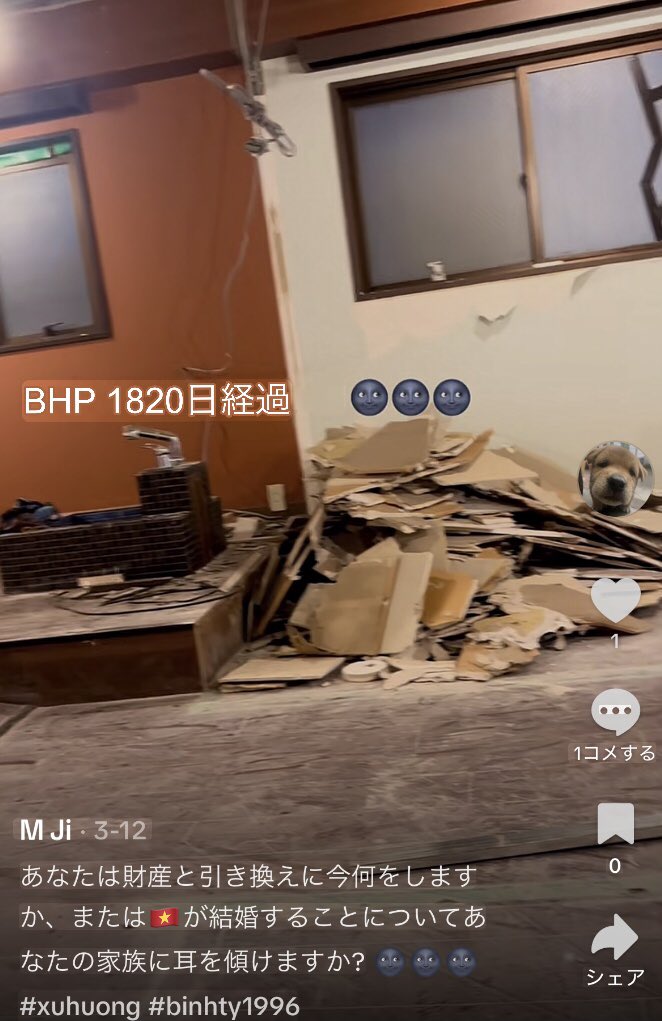 lico337's tweet photo. 畑に寝っ転がっていた不法滞在のベトナム人は、日雇い解体に転職したようです。
こいつは5年以上、不法滞在中。
解体が不法滞在者だらけなのも問題ですが、
農家のオーナー(日本人と外国人)が不法滞在に平気で奴隷労働させるのが最も問題です。
元技能実習生の犯罪集団が、農園で大規模窃盗をしています。

「(ベトナムで広く使われているメッセージアプリの)『Zalo（ザロ）』を使った仕事を覚えて、将来は管理者など偉くなりたい人へ。
上の立場になれば簡単に楽ができると思うでしょ。でも、実際はそうでもない。
人を管理したり、仕事の責任を負ったりする立場は、大変だよ、苦労もある。まあ頑張って。」

※「Zalo」はアプリ名
※BHPはベトナム語で不法滞在者の隠語