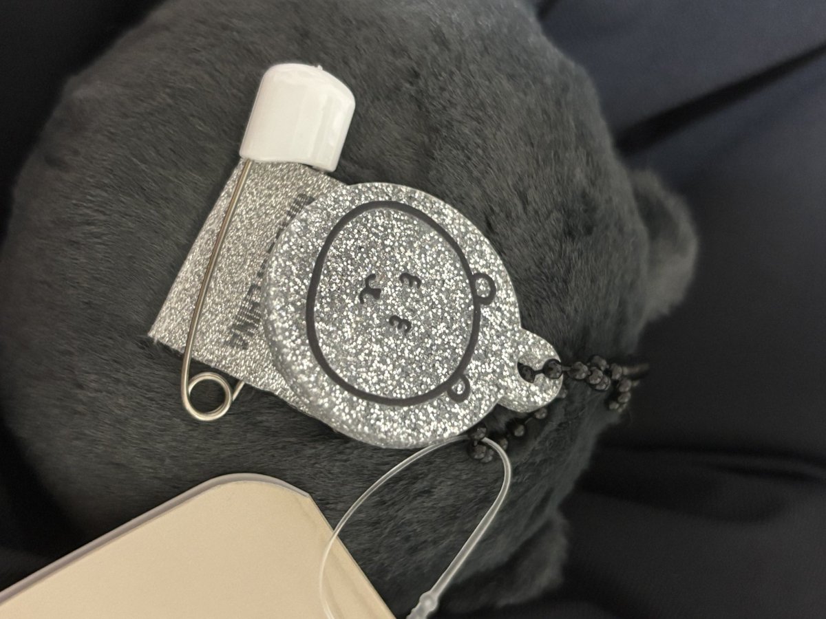 _o_t_o22's tweet photo. 届いた〜
裏側は銀色のくまいた🐻‍❄️プラスチック製でちゃんとしている(˙ᴥ˙) https://t.co/IfzgH3RMMF