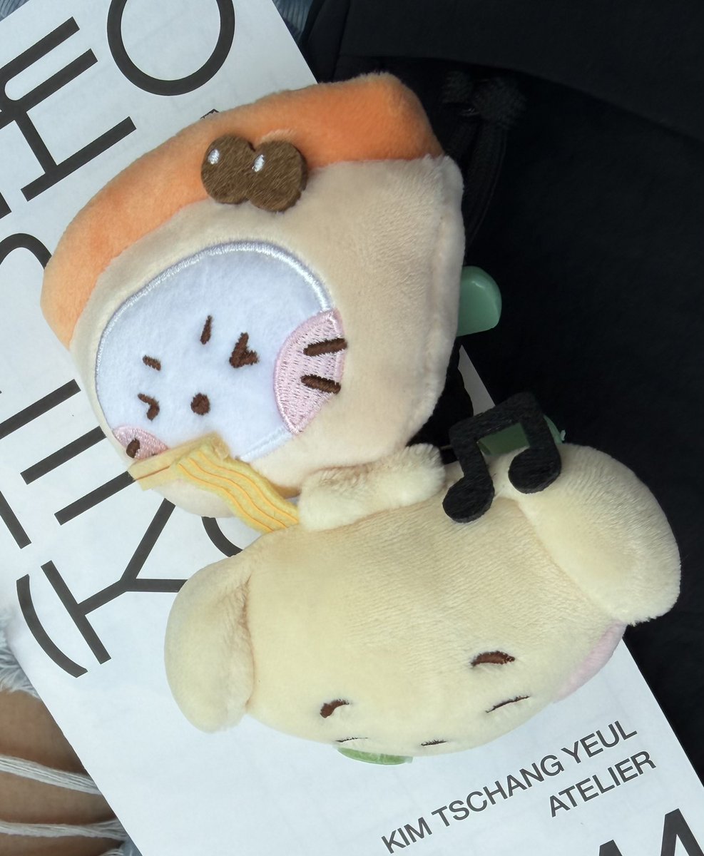 duckboggi's tweet photo. 알페스하는 여자들 미친여자아닙니다 모든 굿즈를 두개씩 사야하는 슬픈여자입니다 https://t.co/jRiolt1JPm