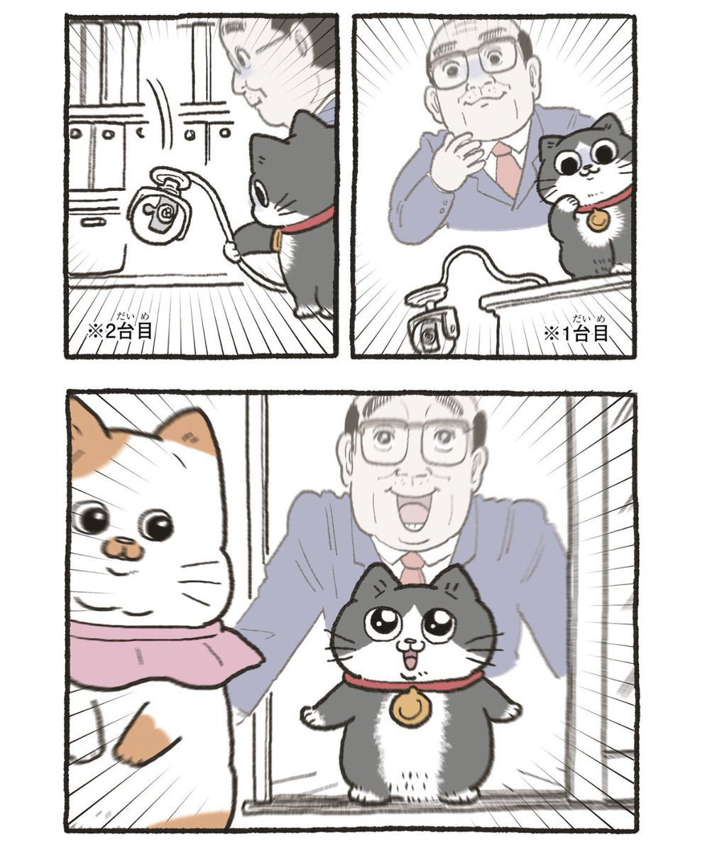ねこおじ@引越し処分中 ドレッサー プンちゃん、ベランダ大脱走。 ねこおじ再放送🐱 1/2