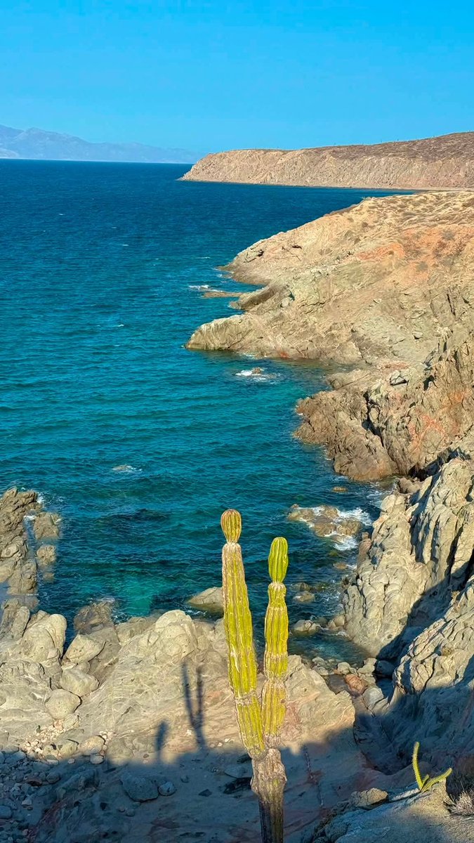 PostBajaSur's tweet photo. #BuenosDías 🌅
🔊 Imágenes de la Baja California Sur 🔝
Foto:☑️
Explorando tu Baja senderismo https://t.co/JTjK6yqzoA