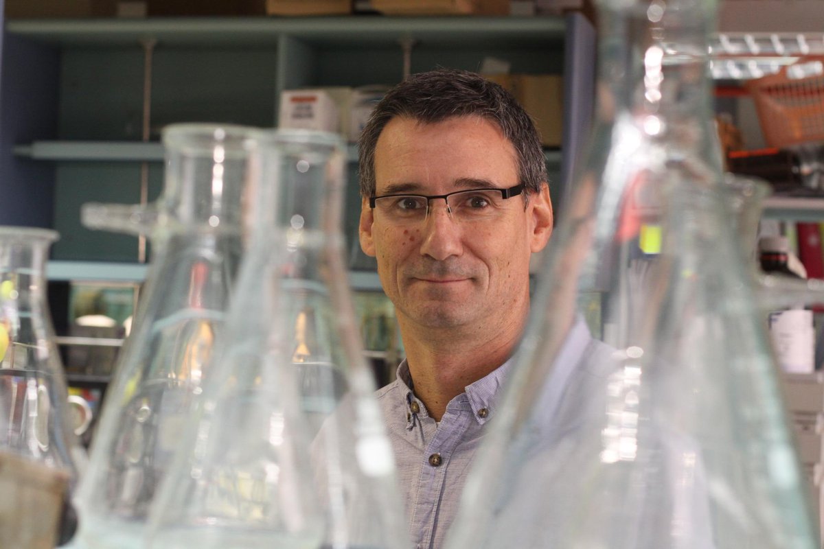 OrgSynth's tweet photo. Professor Ilan Marek of Technion-Israel Institute of Technology, presented the Organic Syntheses Lecture at the University of Hong Kong on June 11, 2026, speaking on "From Strain to Stereochemistry: A Design Principle”. https://t.co/DVNqXnGoIX https://t.co/OF6wL6340G