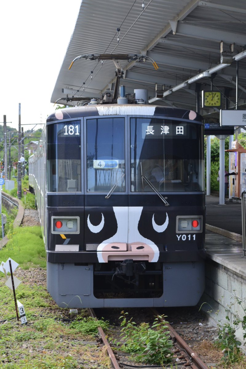 Shintama8537's tweet photo. 交通系（鉄道、バスとか)とアニメ好きです！
好きなアニメの一部は1枚目にまとめてます
趣味合う人いれば仲良くしていきたいです！

#初めてのツイート 
#アニメ好きと繋がりたい
#鉄道好きと繋がりたい https://t.co/y13MZE54YN