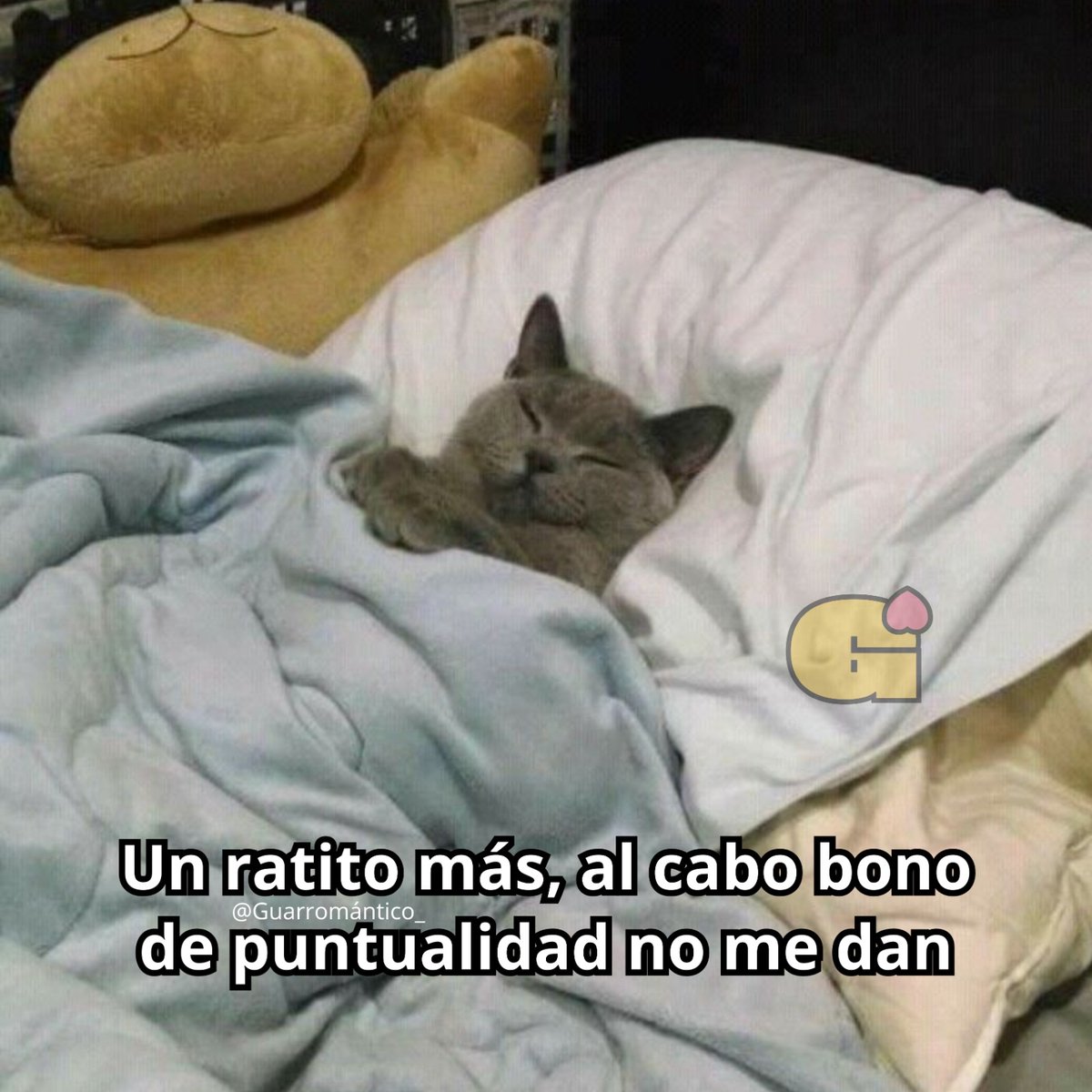 Guarromantico_'s tweet photo. Un ratito más. https://t.co/CMkFZEgM8N