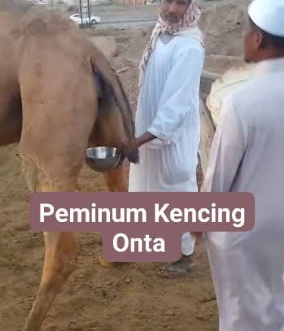 BRIGITANEBA's tweet photo. @mass_kho @zidan667937 @Meta80ki gue di tanah abang...bangsat...lu dimana anjing https://t.co/F1B0dj9aaX