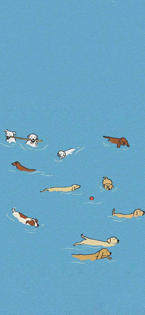Eryth_Studio's tweet photo. Paws in the Pool 🐾 https://t.co/DSb7tlaoV2