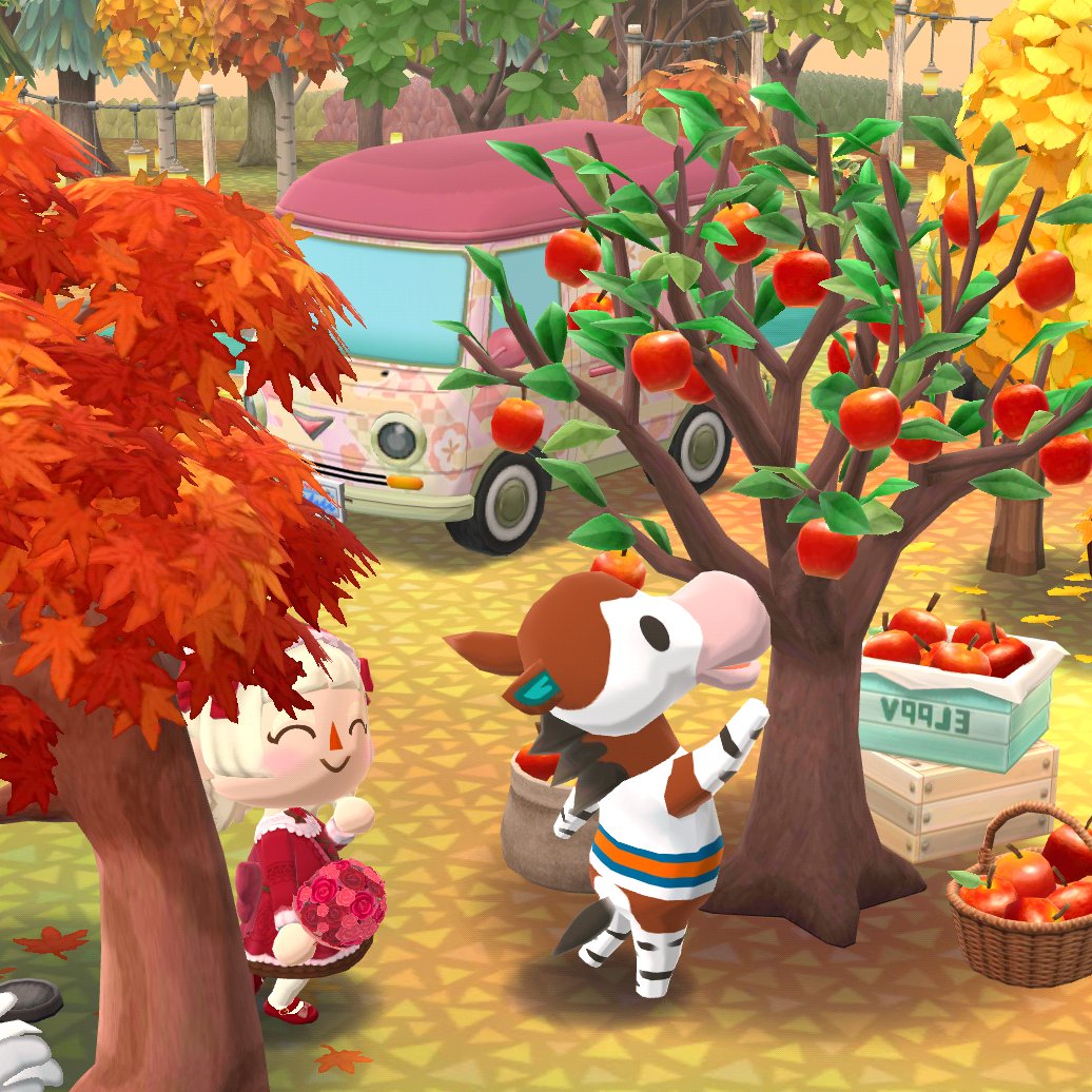 CalmingMadness's tweet photo. I miss autumn 🍎🍂
#AnimalCrossing #PocketCamp #acpc #acpcc #ACPCComplete https://t.co/VwLIQw3dLm
