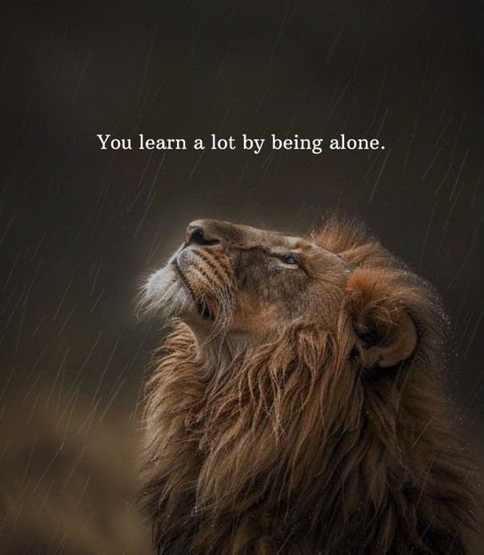 Dearme2_'s tweet photo. Trust me. https://t.co/qm24OVSGxI