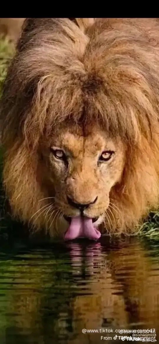 mmmy3356's tweet photo. @dhalfgar هاه بشر ذقتوه 🤣 https://t.co/tQQq7uCVJX