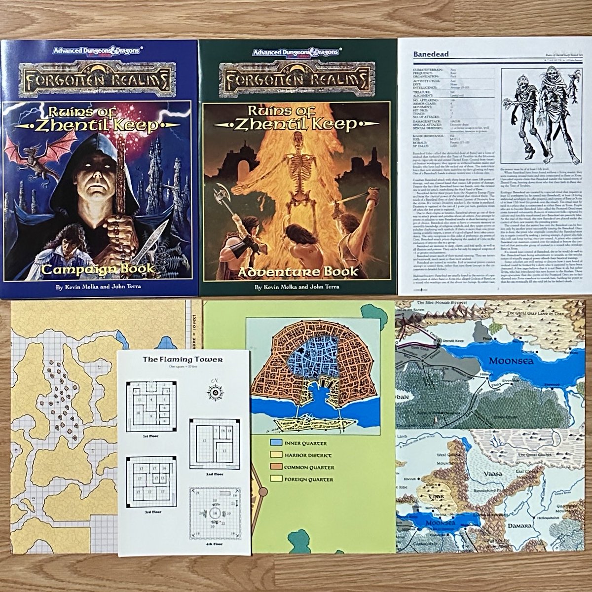 dnd__daily's tweet photo. Ruins of Zhentil Keep (1995) #DnD #ForgottenRealms #TTRPG https://t.co/qCDPJePk5C