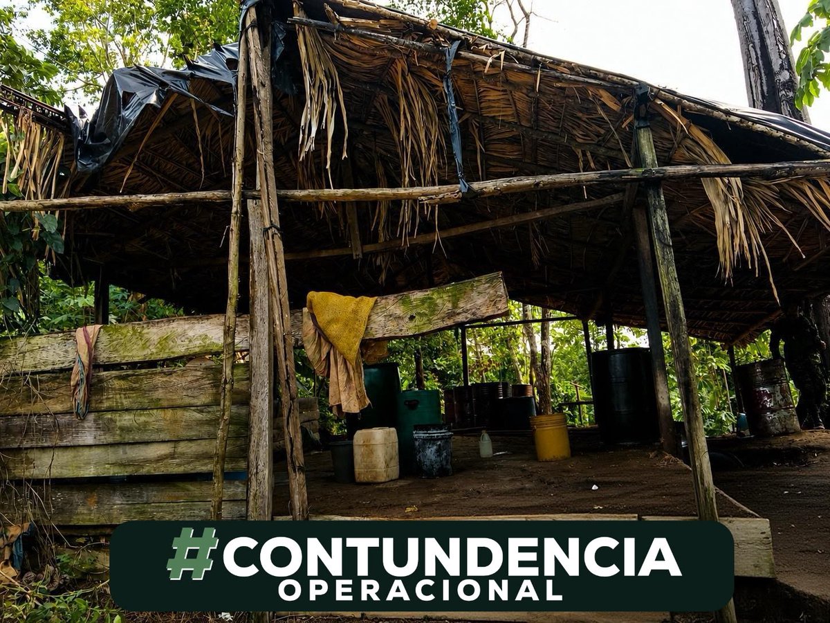 Ejercito_Div2's tweet photo. #ContundenciaOperacional || Soldados del Batallón de Operaciones Terrestres N.° 9 de la #FuerzaDeTareaVulcano ubicaron y destruyeron de forma controlada una estructura dedicada al procesamiento de alcaloides en  zona rural de La Gabarra, jurisdicción de Tibú #NorteDeSantander.

Durante la operación militar se incautaron más de 135 galones de insumos líquidos, más de 100 kg de insumos sólidos y material utilizado para la producción de pasta base de coca.

Con esta acción se afectan las economías ilícitas del GAO ELN y se debilita la capacidad criminal de este grupo armado ilegal en la región.