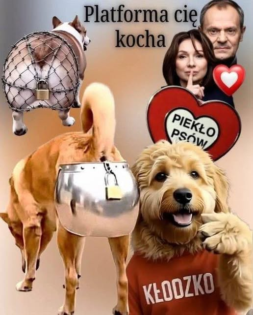 irena_tomc42332's tweet photo. PEDOFILIA   OBYWATELSKA https://t.co/Sz8bZl4Siq