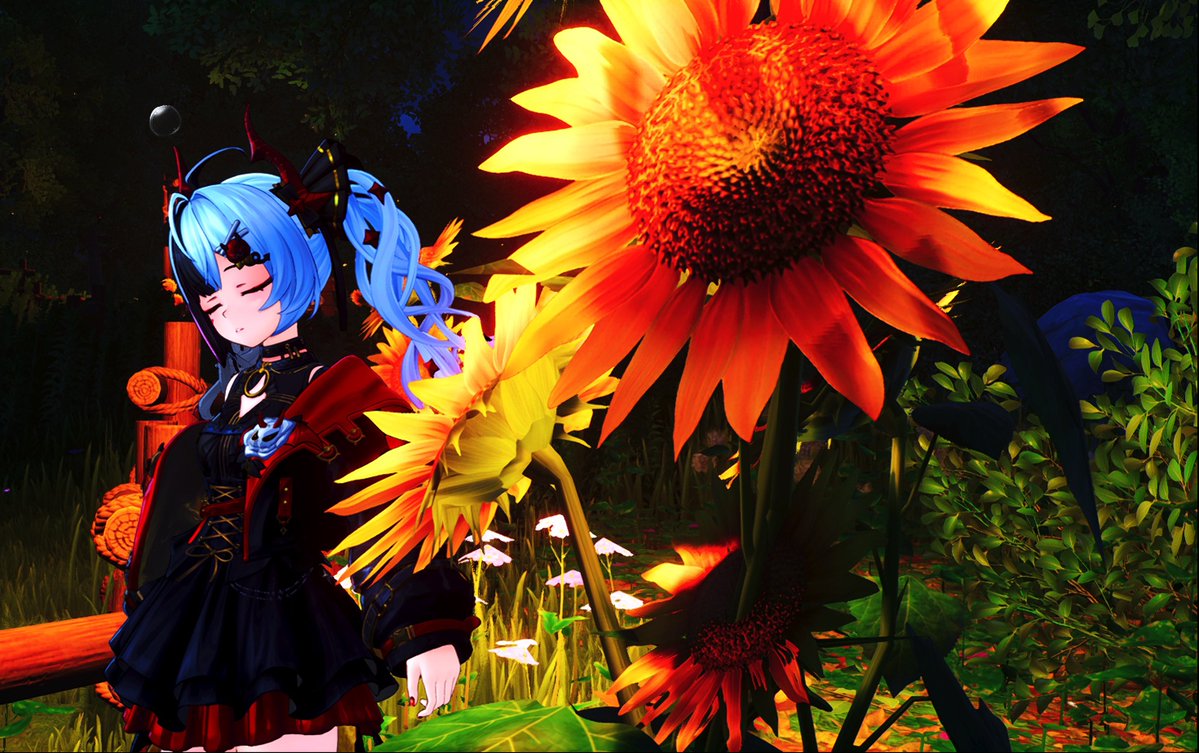 M0M0SEALiCE's tweet photo. 例のポイントで撮り直し🌻
#NTE #SummerVM https://t.co/BapWsbJRwK