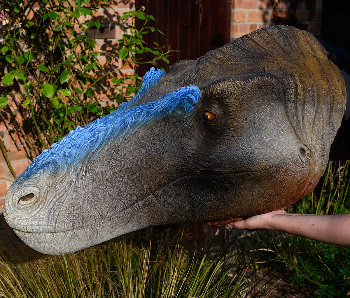 JedTaylorArtist's tweet photo. Wayne the Nanotyrannus in the sunlight. This 1:1 model was made by @ruadhribrennan and myself. https://t.co/XJgXOLBLnR
