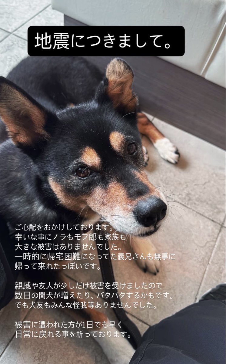 yosimofurou's tweet photo. 無事ですよ。 https://t.co/9zwGhjH3vF