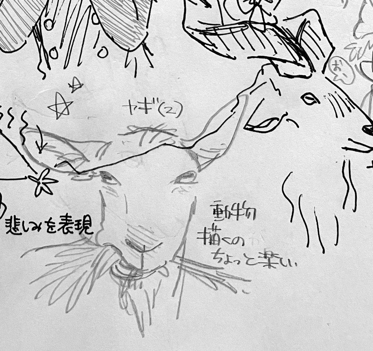 broken_cake15's tweet photo. やぎｽﾞ🐐 https://t.co/Ac5XE2fQL8