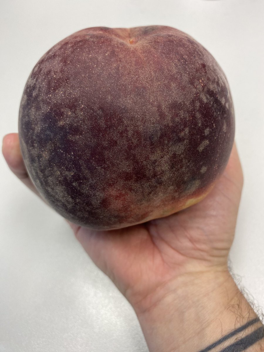 RosellGuillem's tweet photo. 700gr de prèssic https://t.co/IZ7ELMVAb2