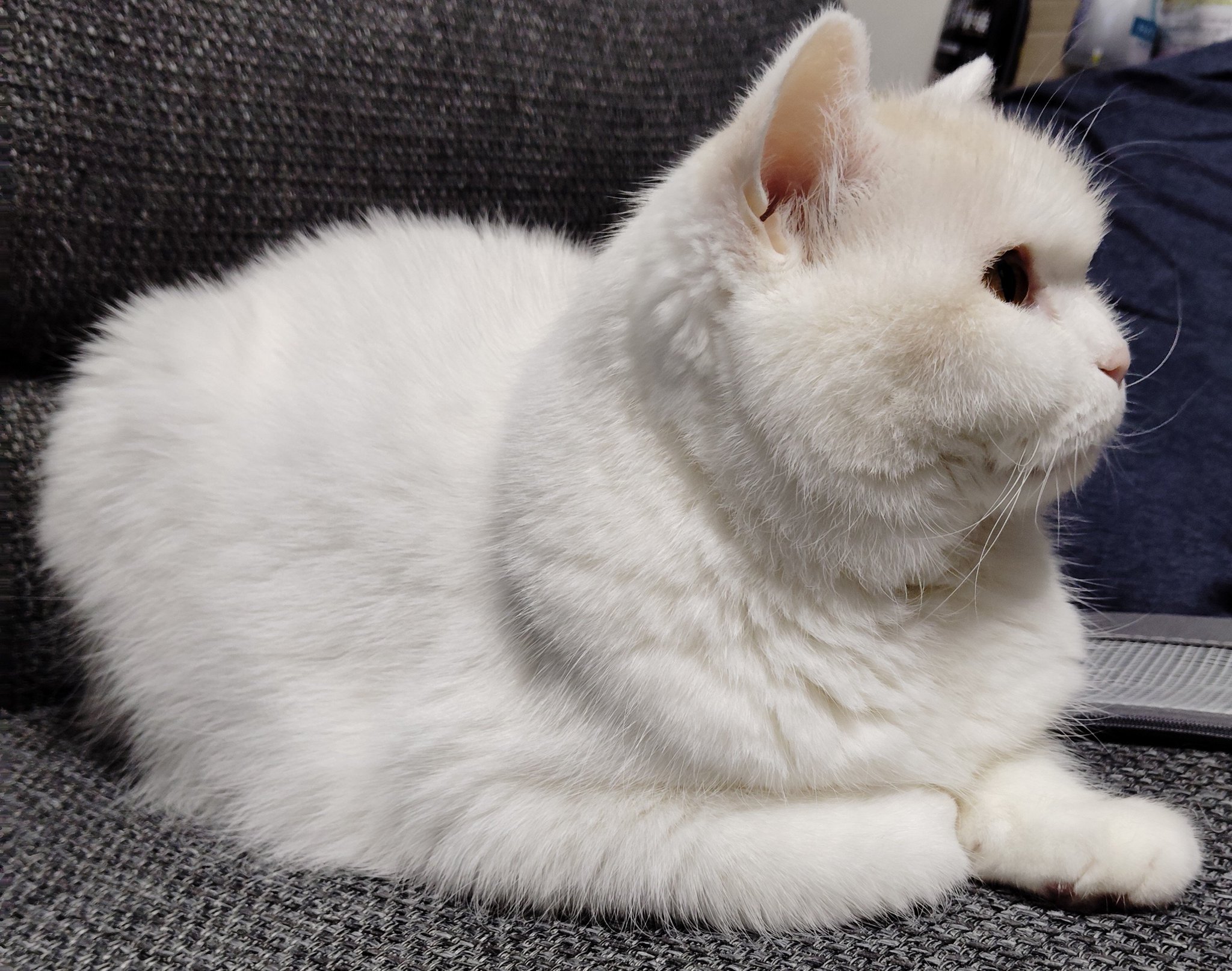 福ちゃん على X: 
