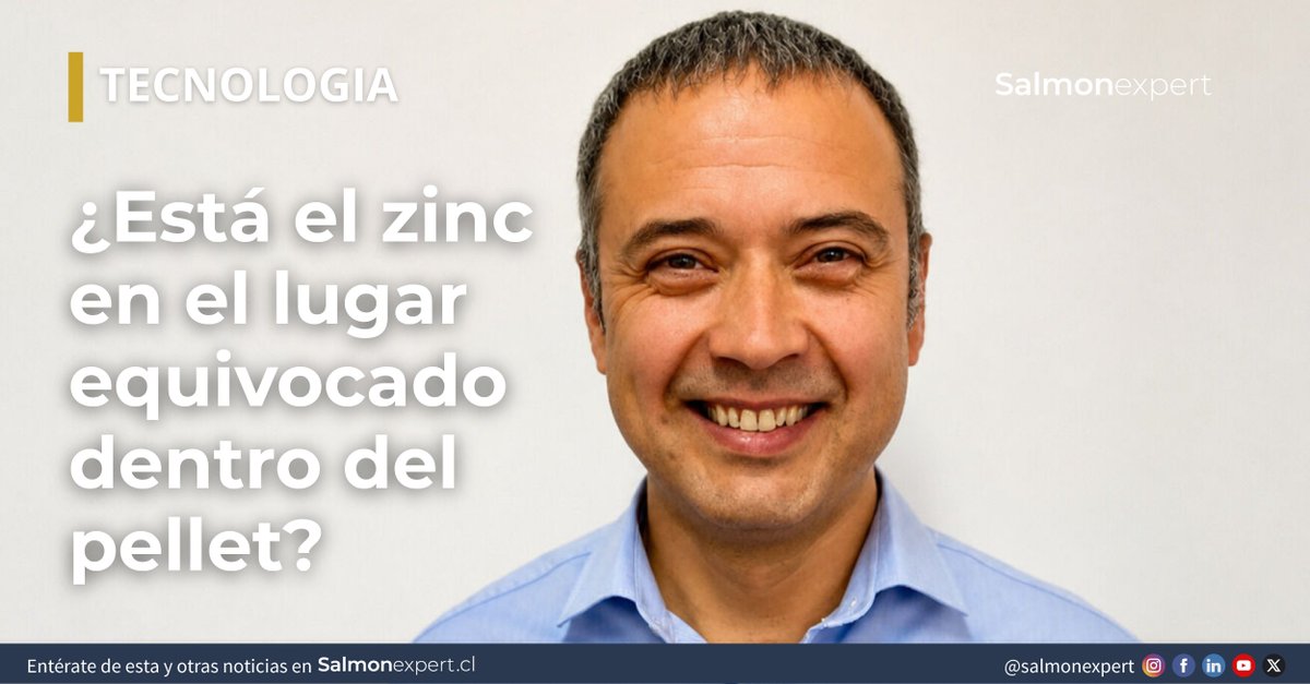salmonexpert's tweet photo. En la formulación de alimentos sigue evolucionando, el desafío es optimizar su biodisponibilidad. El proyecto TOP-Zinc explora cómo la ubicación del mineral dentro del pellet influye tanto en el desempeño del pez como en la sostenibilidad del cultivo. 
https://t.co/XoUfsyG5Ul https://t.co/m1gwmP5LuZ
