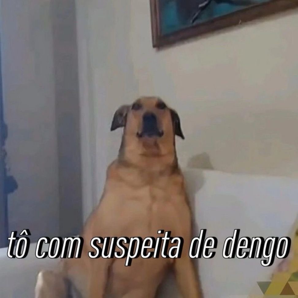 acervodoguinhos's tweet photo. https://t.co/wbxNrUGO6f