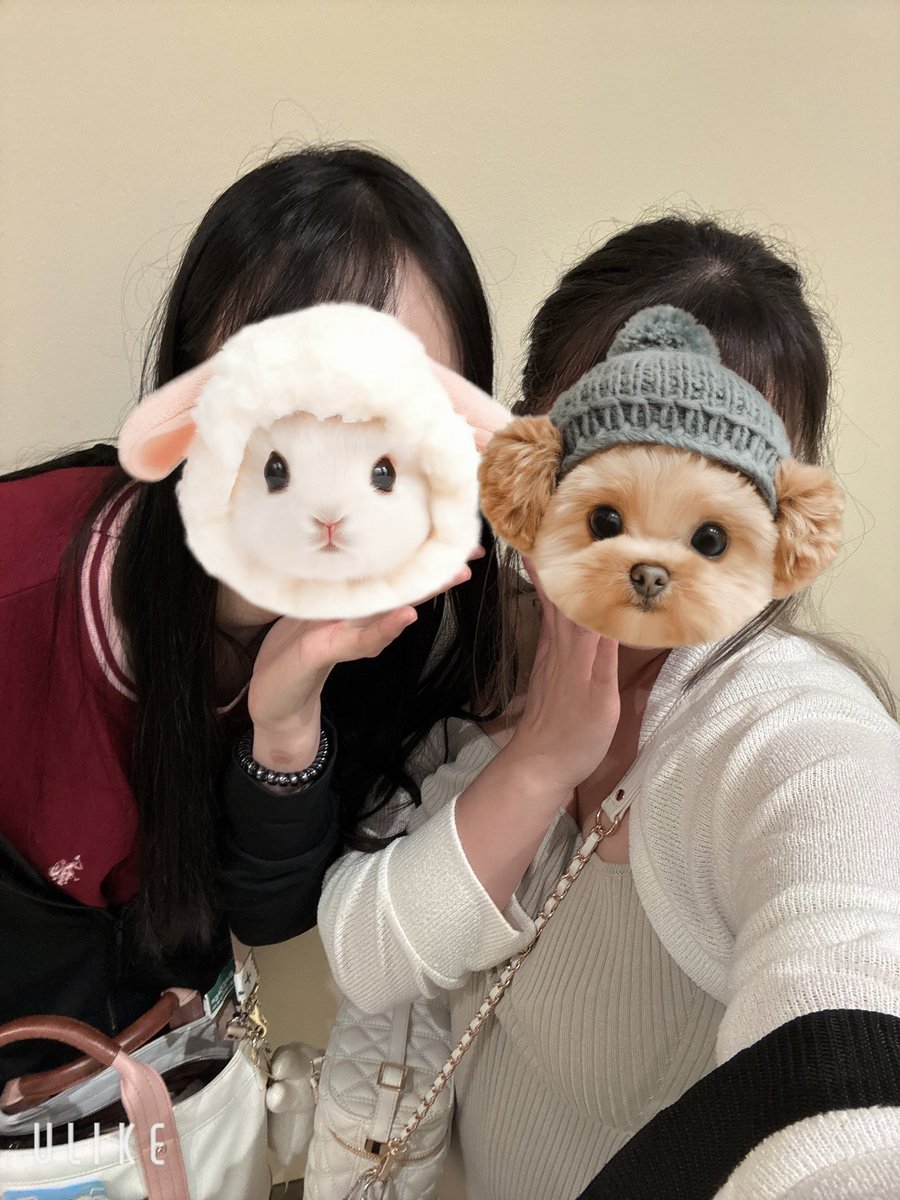 pussy_kiko's tweet photo. むーちゃんとお出かけ💓 https://t.co/RYpQBRI7I6