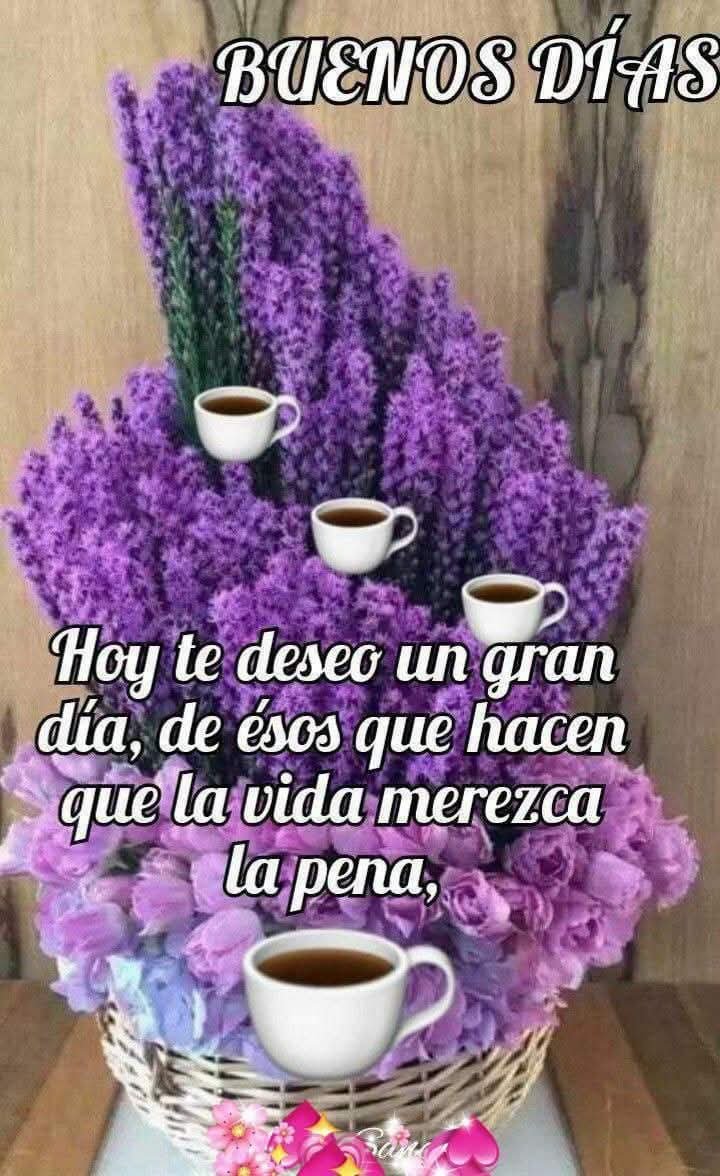 Perlaloki's tweet photo. @voxsincomplejo https://t.co/9LKHdLIosx