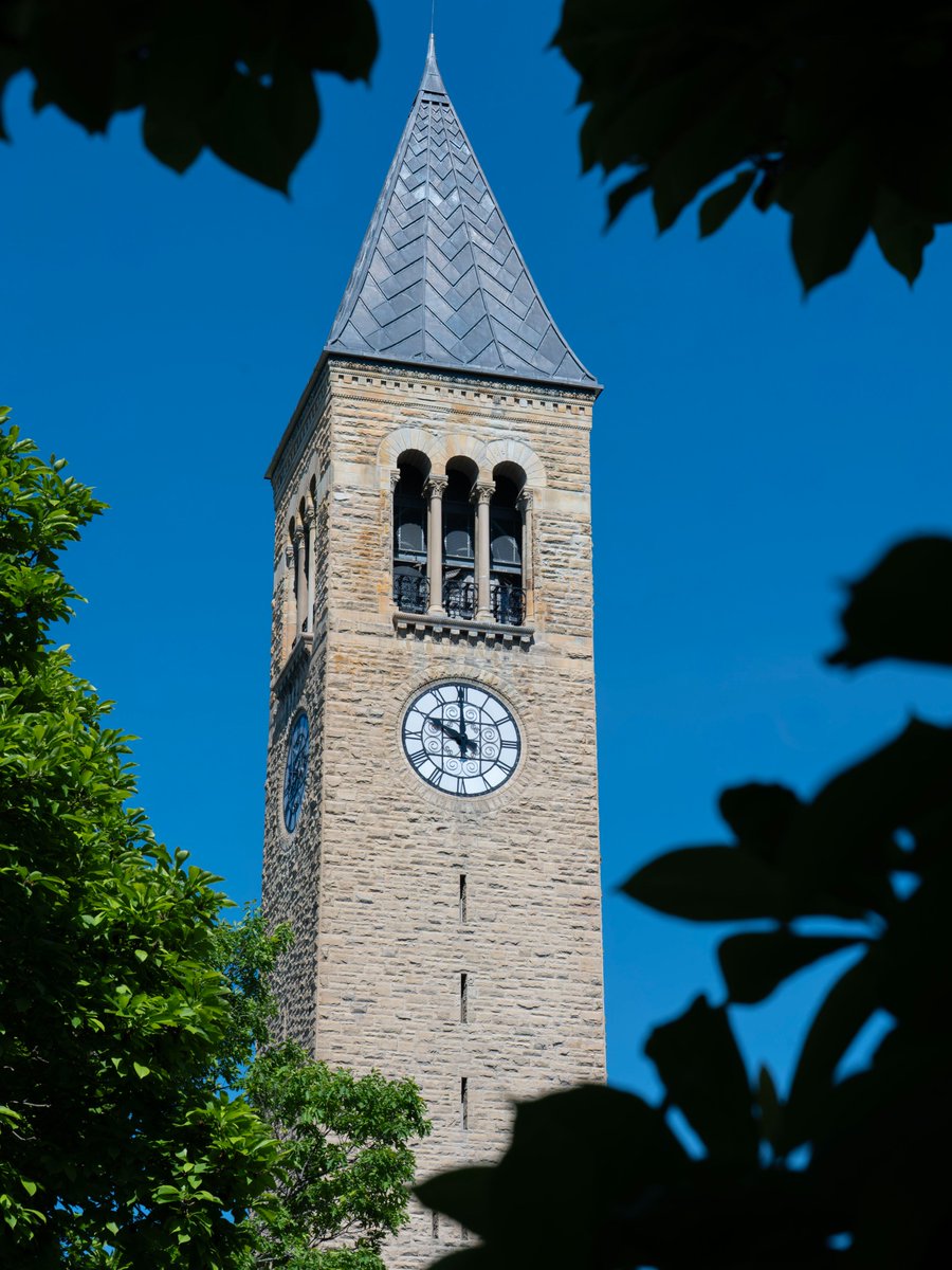 Cornell_Library's tweet photo. It's 10 a.m. Do you know where your books are? 📚 https://t.co/wazrmMtCtJ
