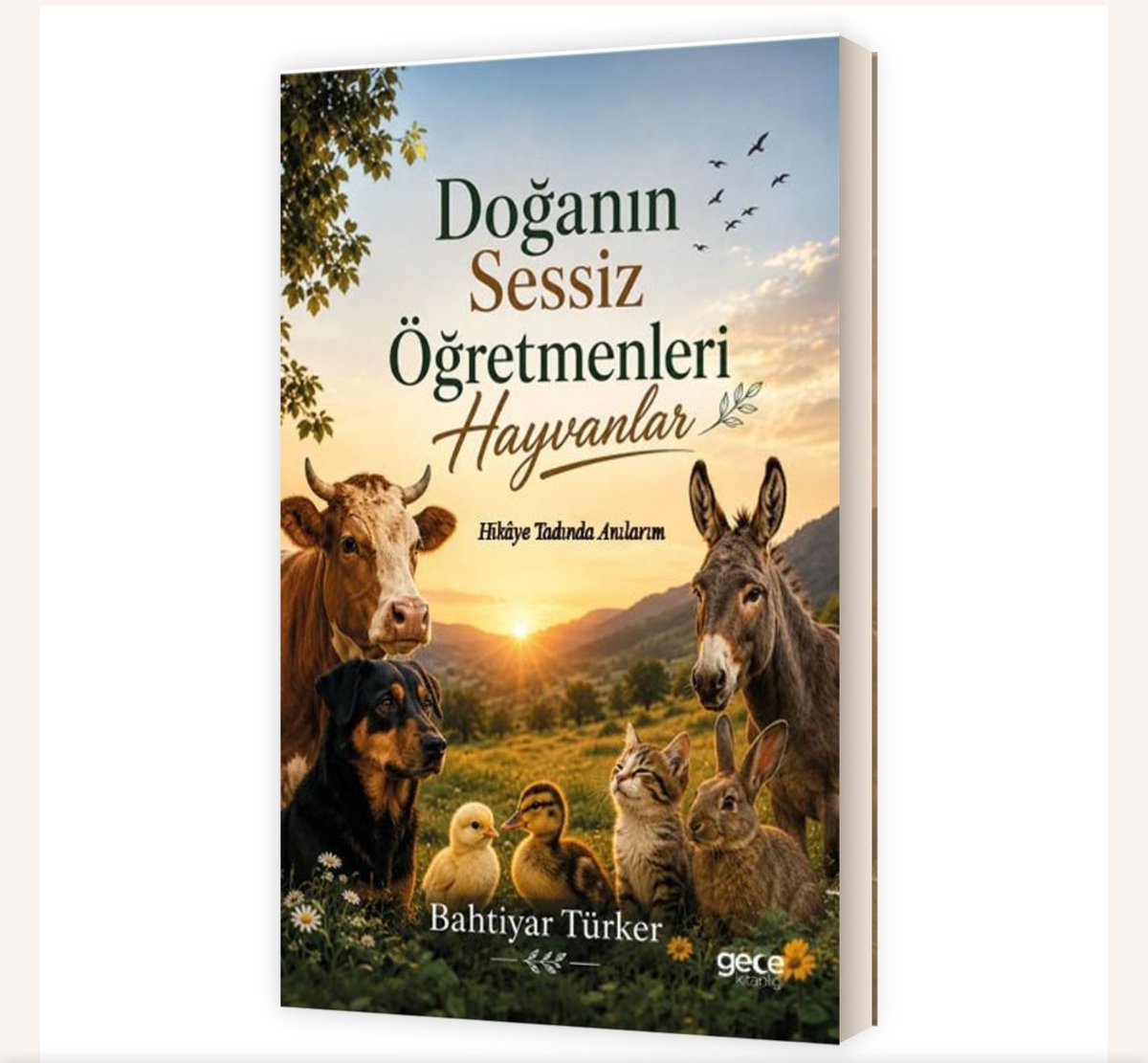 HRukenKalan's tweet photo. Değerli Büyüğüm Sayın Bahtiyar Türker’in okumayı dört gözle beklediğim yeni kitabını mutlulukla sunarım. Ellerinize , gözlerinize ve emeklerinize de sağlık Sayın Paşam. @eceturker https://t.co/pykP8PJSG5