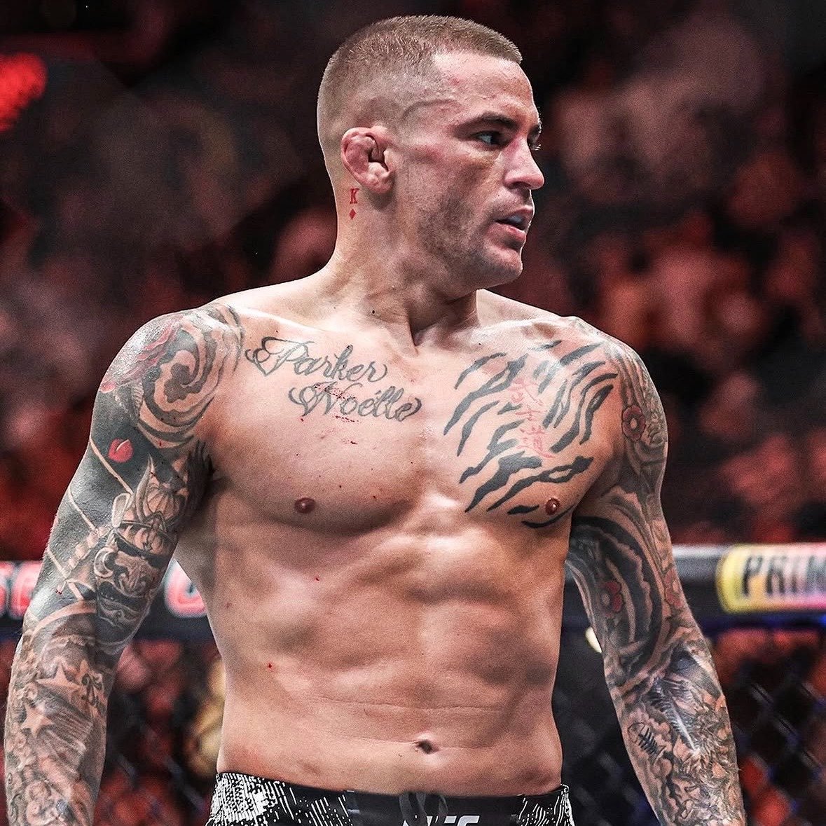 ماجد | UFC tweet media