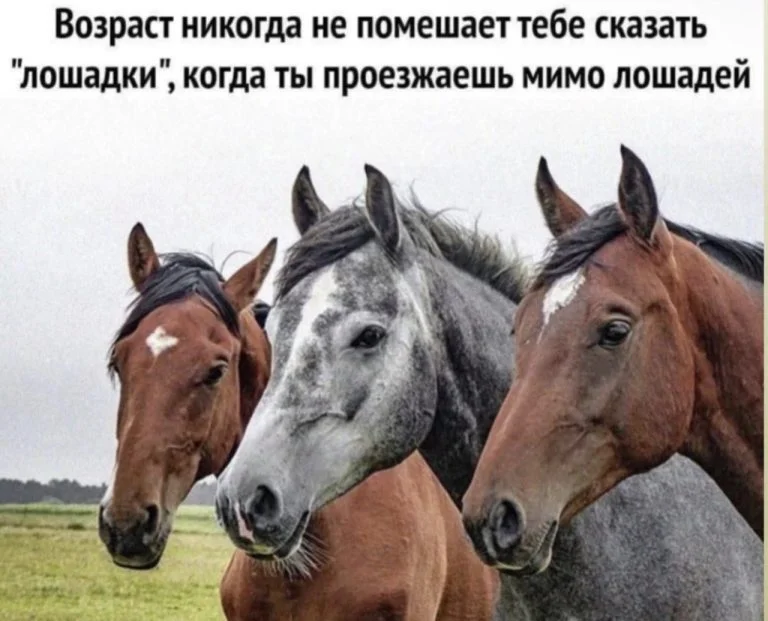 Ellienoise2's tweet photo. Если ваша девушка:
1. Любит лошадей
2.Любит отдыхать в палатке на свежем воздухе
3. Хочет путешествовать по всему миру.

Бегите!

Это не ваша девушка - это МОНГОЛЬСКИЙ КОННЫЙ ЛУЧНИК https://t.co/nD4gAJgoVP