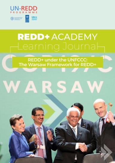 UN-REDD Programme tweet media