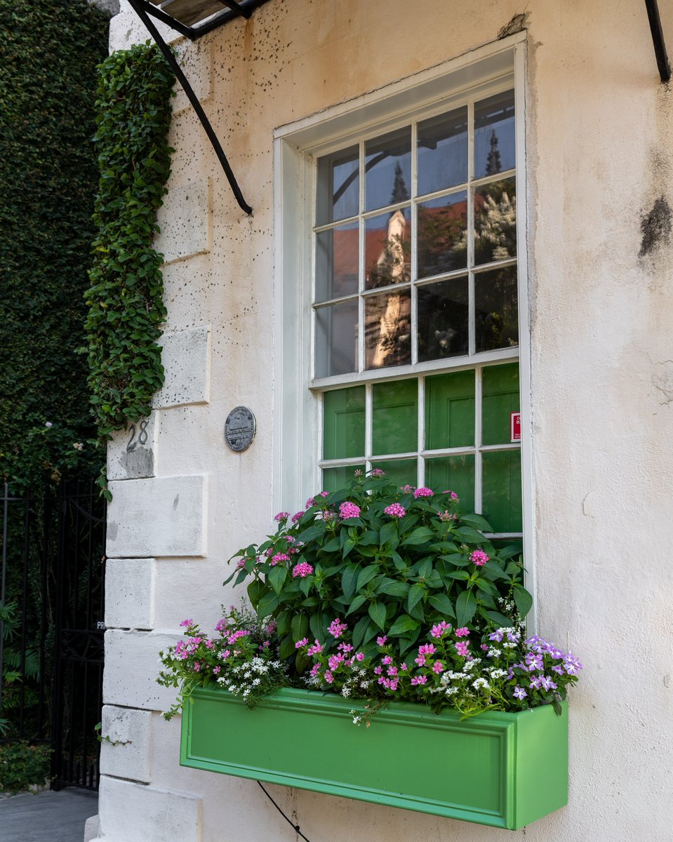 ExploreCHS's tweet photo. Happy #WindowBoxWednesday from Charleston! πΏ #ExploreCharleston https://t.co/pnqaWYuu31