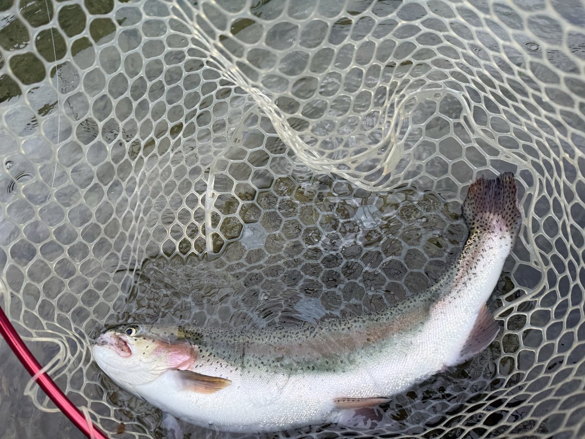 hanakappo's tweet photo. @TKM_Fishing 👍 https://t.co/amKBiQvtfg