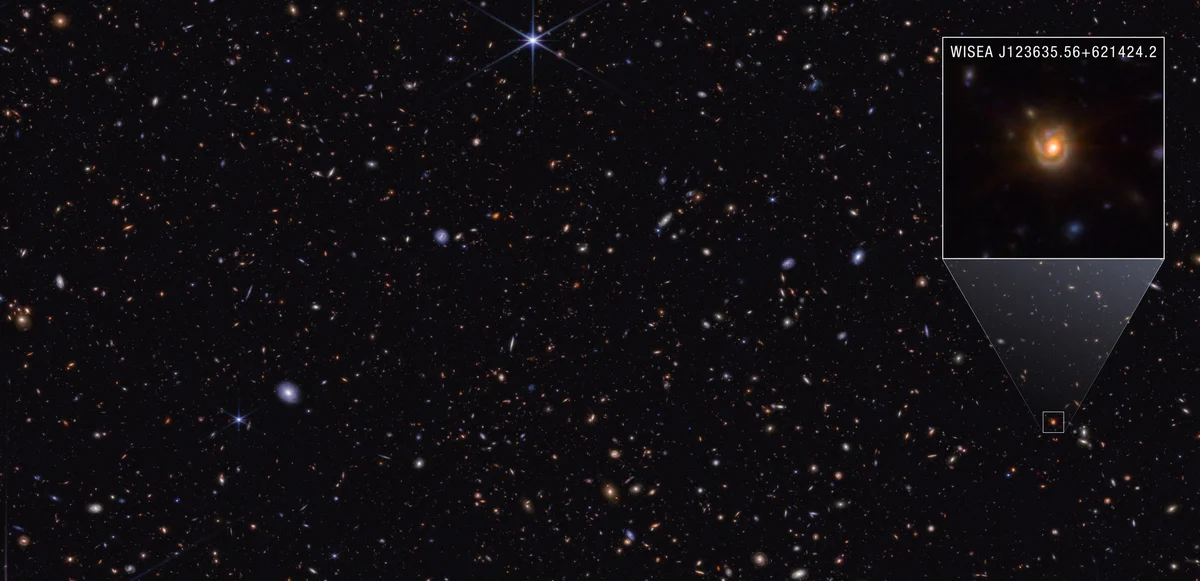 A rectangular image with thousands of galaxies of various shapes and colors on the black background of space. Some are noticeably spirals, either face-on or edge-on, while others are blobby ellipticals. Many are too small to discern any structure. One prominent foreground star at top center features Webb’s signature 8-point diffraction spikes. At upper right, a box shows a zoomed in portion of the image. The pullout features a spiral galaxy labeled “WISEA J123635.56+621424.2.” The galaxy has a bright yellow center and faint brown arms speckled with regions of blue that appear to wind clockwise around the galaxy’s core.