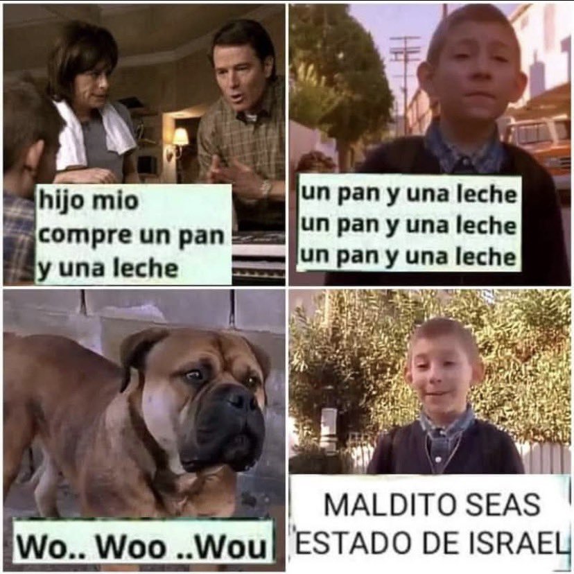🐾 # chuchu tweet media